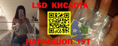 ПСИЛОЦИБИНОВЫЕ ГРИБЫ Вязники