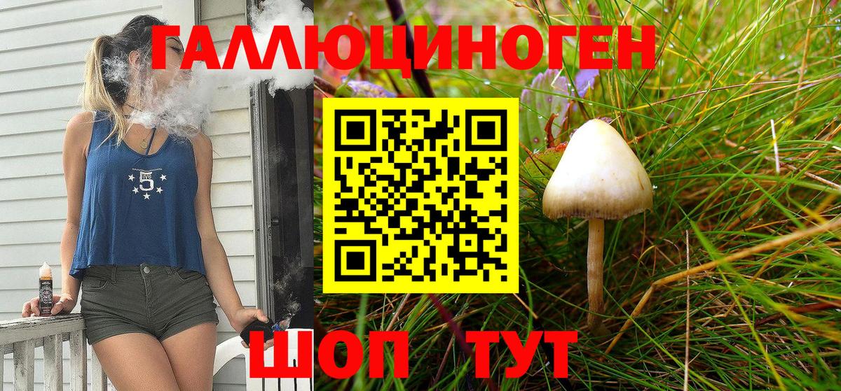 Псилоцибиновые грибы Psilocybe Волгоград