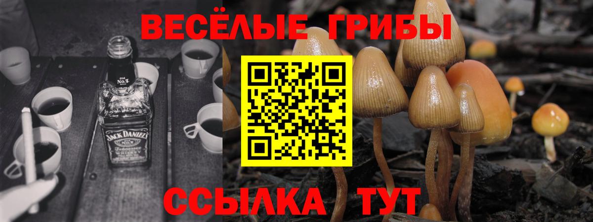 Псилоцибиновые грибы ЛСД  Псилоцибиновые грибы GOLDEN TEACHER  Волгоград  Вход с VPN 